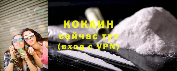 дурь Инта