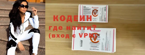 дурь Инта
