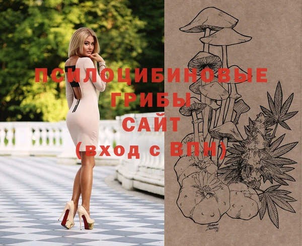 бошки Иннополис
