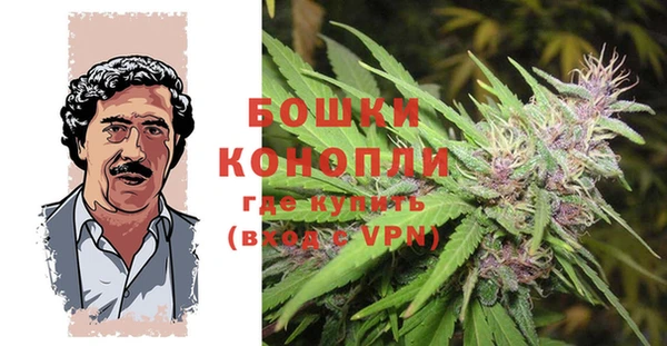 дурь Инта