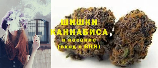 дурь Инта