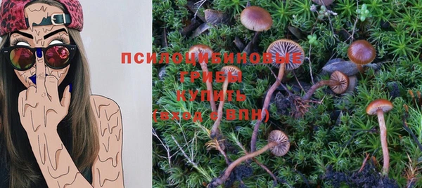 бошки Иннополис