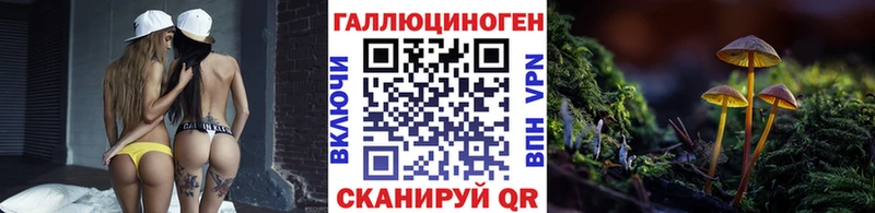 Галлюциногенные грибы Psilocybe  Купить  Зеленогорск 