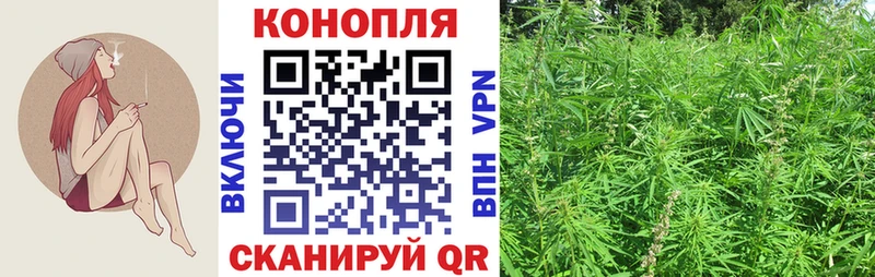 Купить где  Зеленогорск  Бошки марихуана SATIVA & INDICA 